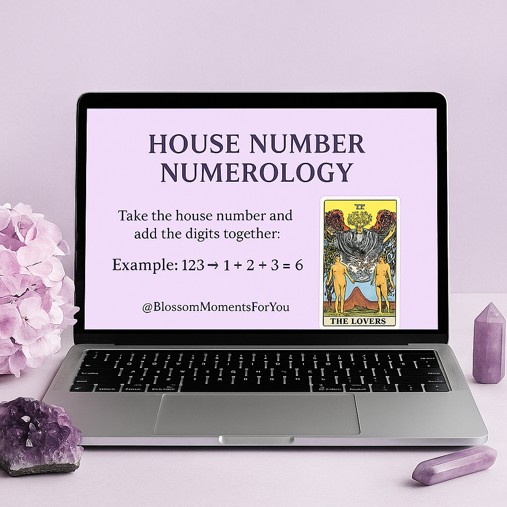 Numerology & Tarot Blossom Moments For You