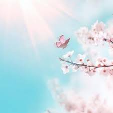 images/shoplogoimages/blossom-tarot-.jpg